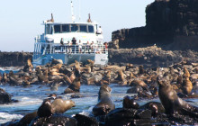 Local Way Tours1