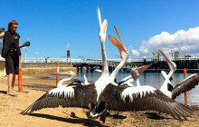 Local Way Tours8
