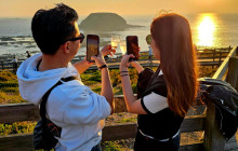 Local Way Tours12