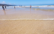 Local Way Tours9