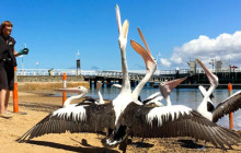 Local Way Tours4