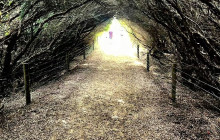 Local Way Tours14