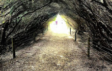 Local Way Tours12