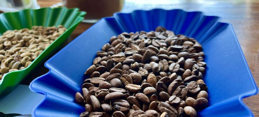 Coffee and Mountains with Personal Coffee Experience