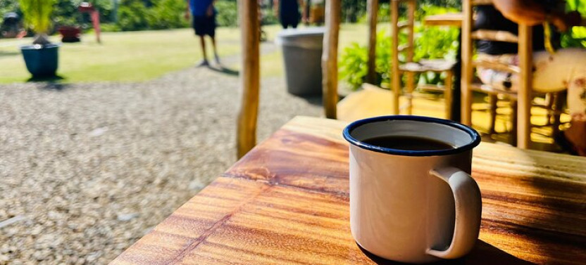 Coffee and Mountains with Personal Coffee Experience