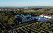 Martulli Viaggi - DMC8