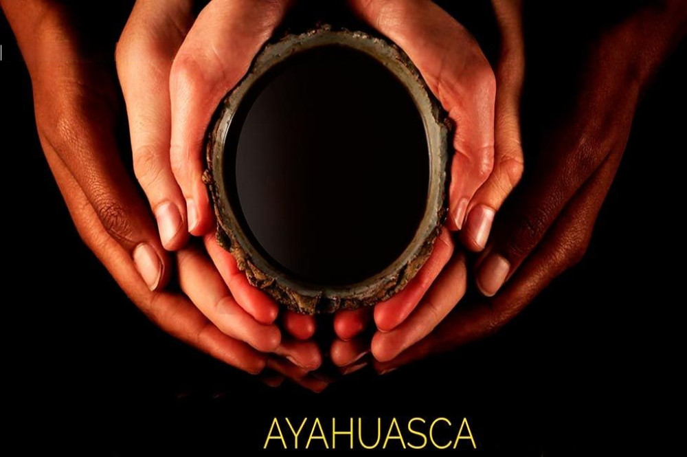 Ayahuasca Discover: 1-Day Journey in Cusco