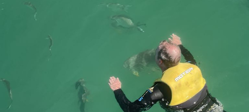 Guided Jet Ski & Snorkeling Safari at Magnetic Island