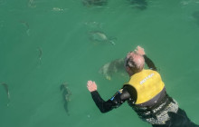 Poseidon Adventure1