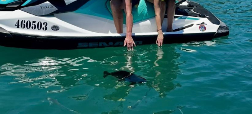 Guided Jet Ski & Snorkeling Safari at Magnetic Island