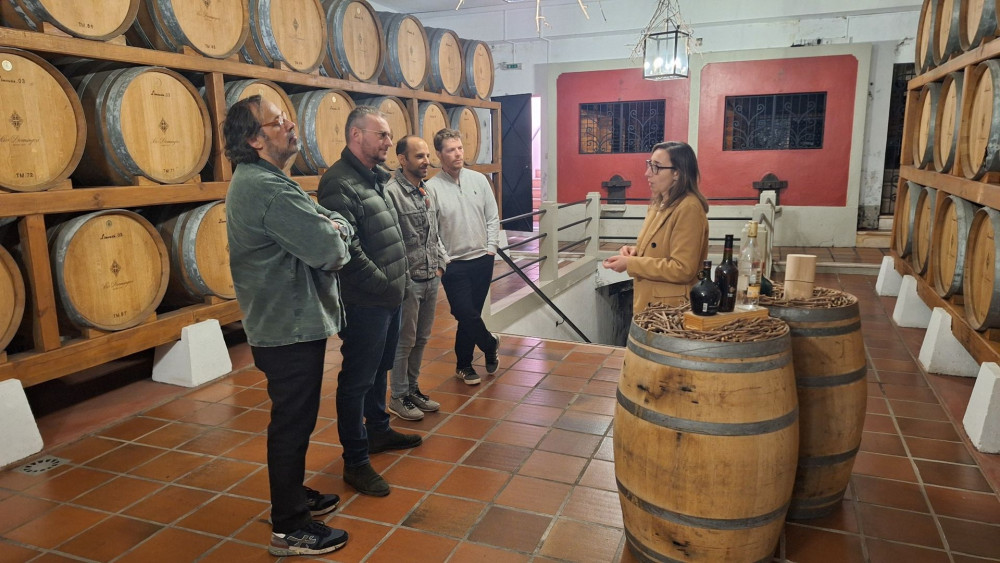 From Porto: Private Bairrada Wine Caves Tour