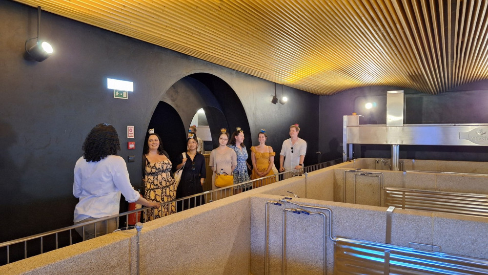 From Porto: Douro Valley Galafura & Wine Tour