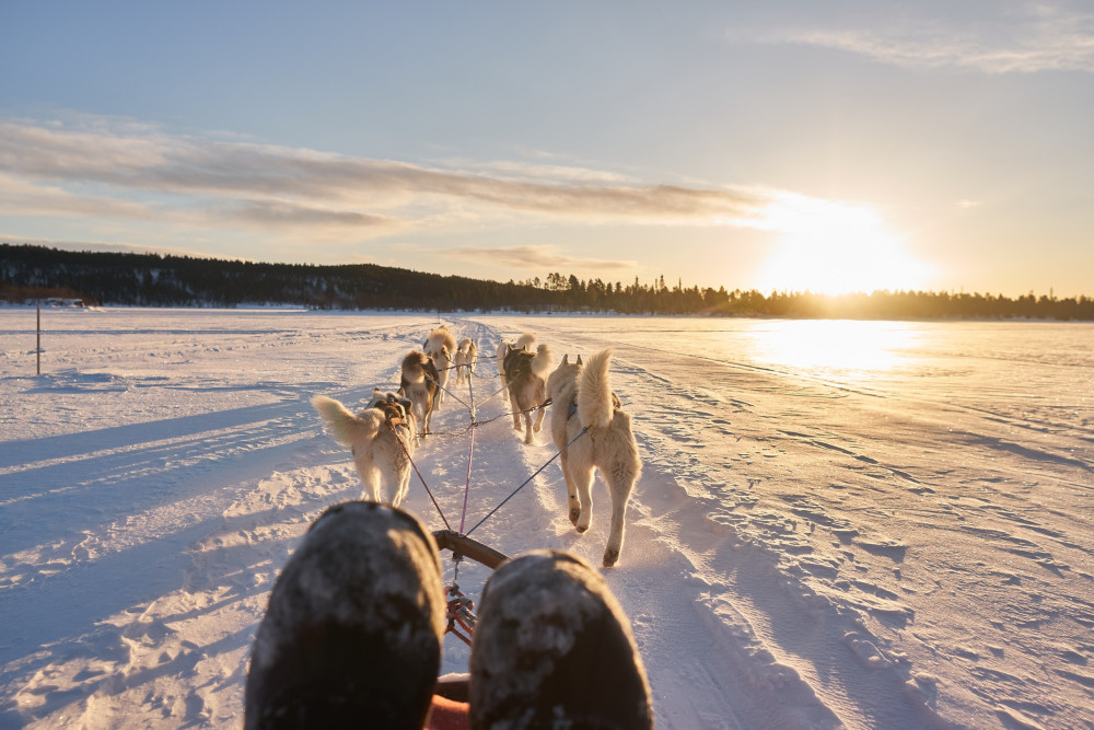 Jukkasjärvi Vildmarks Turer AB