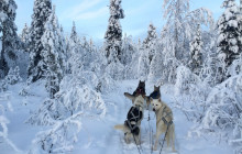 Jukkasjärvi Vildmarks Turer AB7