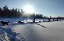 Jukkasjärvi Vildmarks Turer AB9