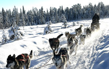 Jukkasjärvi Vildmarks Turer AB1