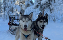 Jukkasjärvi Vildmarks Turer AB2