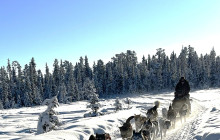 Jukkasjärvi Vildmarks Turer AB1