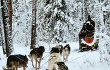 Jukkasjärvi Vildmarks Turer AB4
