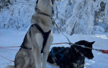 Jukkasjärvi Vildmarks Turer AB4