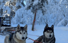 Jukkasjärvi Vildmarks Turer AB6