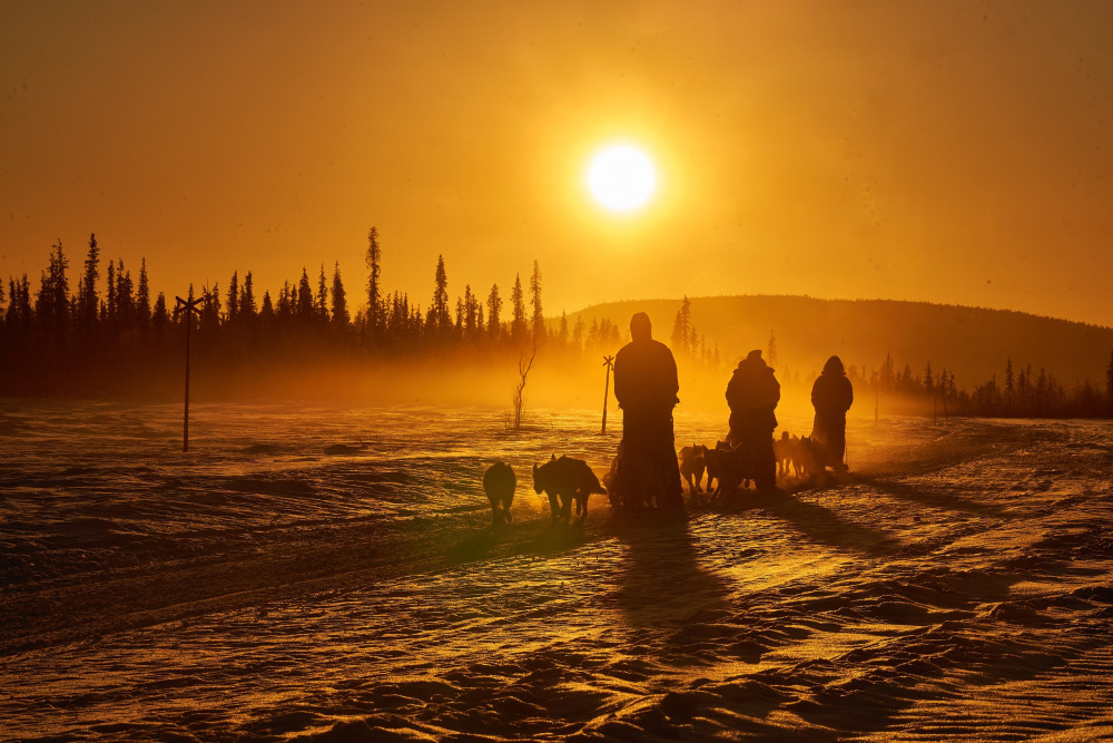 Overnight Husky Sled Adventure with Your Own Dog Team