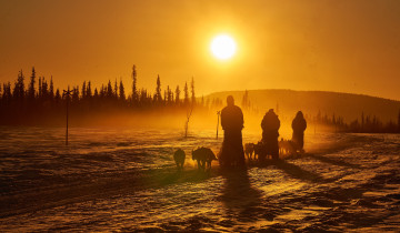 A picture of Overnight Husky Sled Adventure with Your Own Dog Team