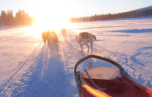 Jukkasjärvi Vildmarks Turer AB2