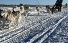 Jukkasjärvi Vildmarks Turer AB8