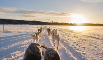 A picture of 3 Day Husky Sled Adventure with Wilderness Cabin & Sauna