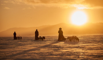 A picture of 8 Day Husky Sled Expedition Through Jukkasjärvi Wilderness