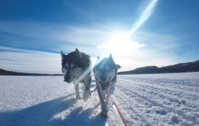 Jukkasjärvi Vildmarks Turer AB3