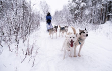 Jukkasjärvi Vildmarks Turer AB5