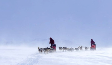 A picture of 8 Day Husky Sled Adventure Through Arctic Mountain Wilderness
