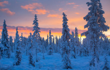 Jukkasjärvi Vildmarks Turer AB5