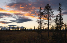 Jukkasjärvi Vildmarks Turer AB2