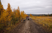 Jukkasjärvi Vildmarks Turer AB5