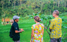 Discova Day Tours and Activities9