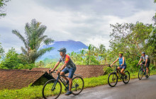 Discova Day Tours and Activities17