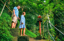 Discova Day Tours and Activities15