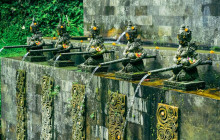 Discova Day Tours and Activities19
