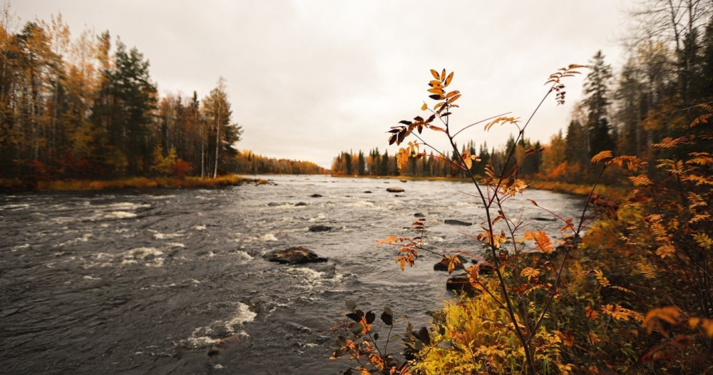 Overnight ATV Wilderness Tour with Campfire Coffee & Sauna