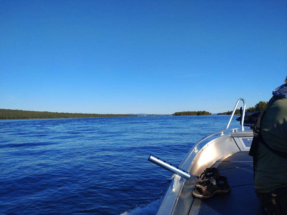 Lapland Scenic Boat Tour with Campfire Lunch & Transfer