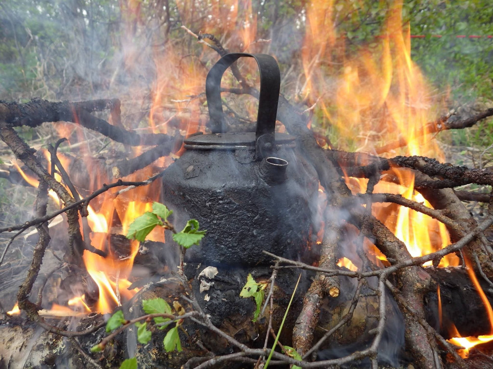5 Hour Arctic Survival Course with Fire & Wilderness Skills