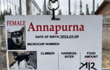 Jukkasjärvi Vildmarks Turer AB4