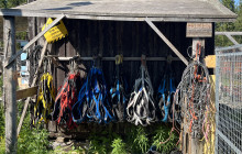 Jukkasjärvi Vildmarks Turer AB8