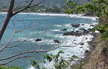 Greenway Nature Tours2
