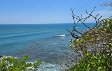 Greenway Nature Tours5