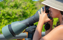 Greenway Nature Tours41