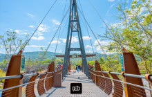Greenway Nature Tours42
